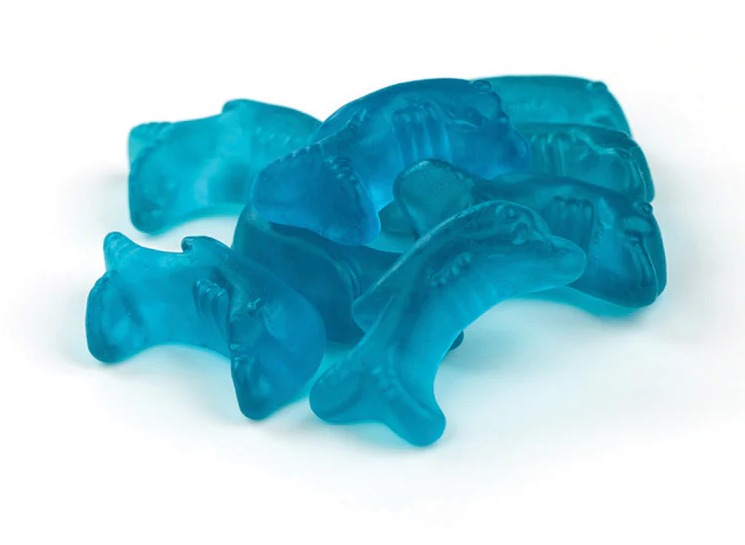 Gustafs Gummy Dolphin 6.6lbs case